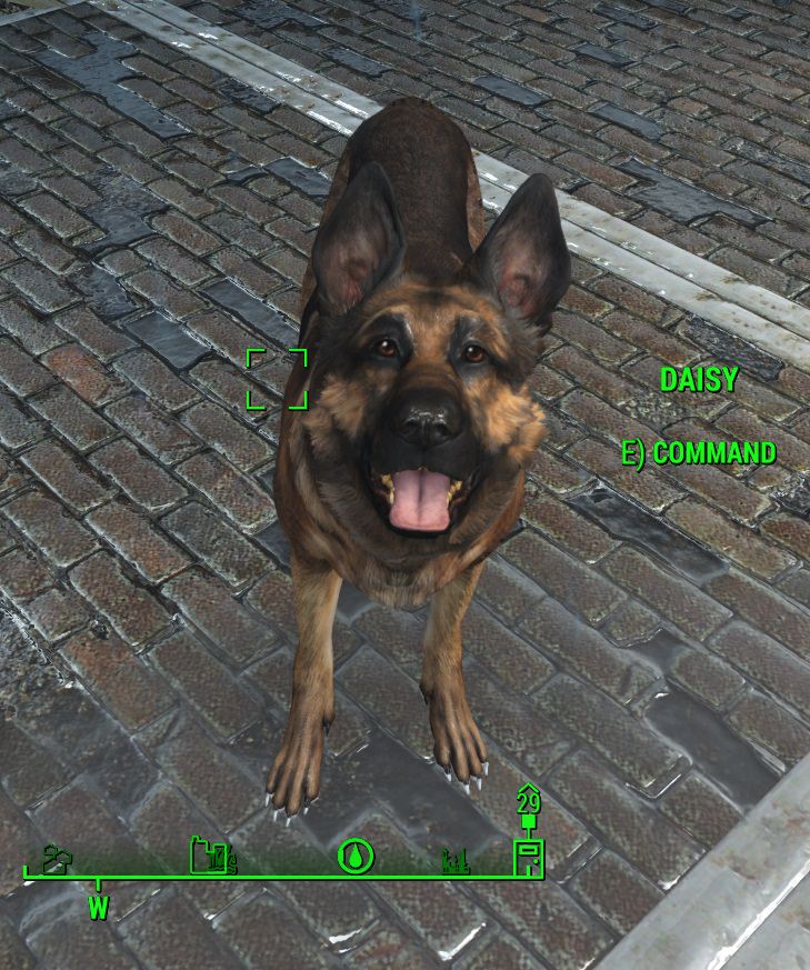 Rename Dog Fallout 4